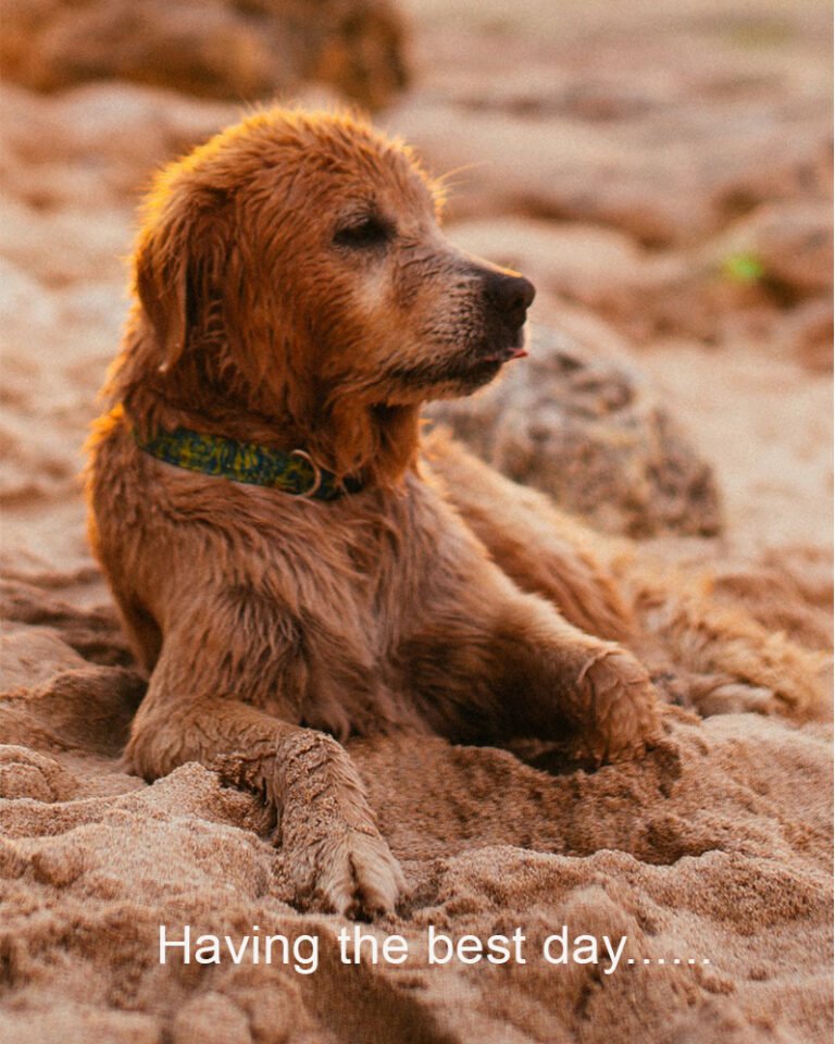 How Personal Identity Shapes Our Lives